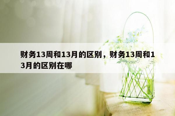 财务13周和13月的区别，财务13周和13月的区别在哪