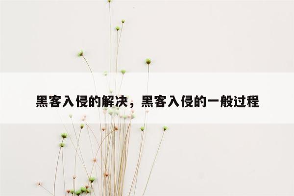 黑客入侵的解决，黑客入侵的一般过程