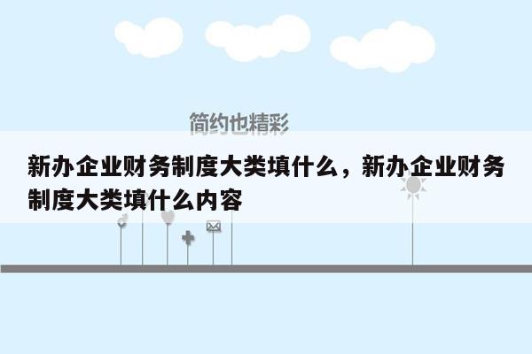 新办企业财务制度大类填什么，新办企业财务制度大类填什么内容