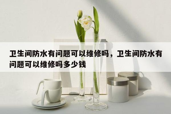 卫生间防水有问题可以维修吗，卫生间防水有问题可以维修吗多少钱