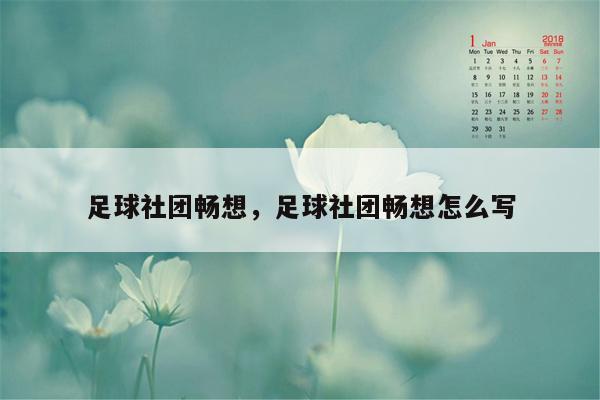 足球社团畅想，足球社团畅想怎么写