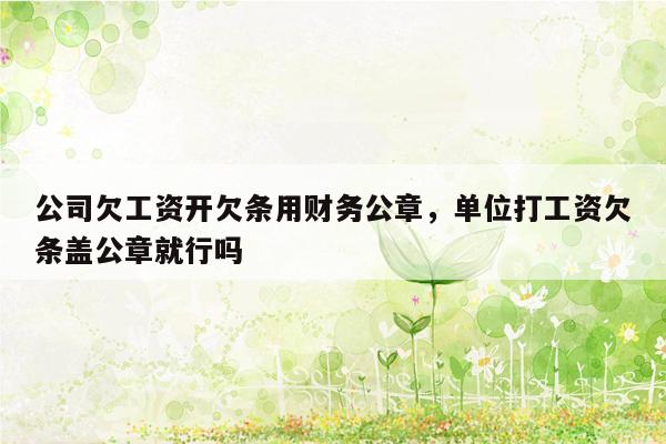 公司欠工资开欠条用财务公章，单位打工资欠条盖公章就行吗