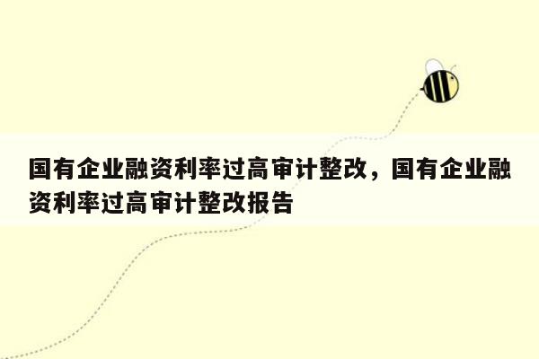 国有企业融资利率过高审计整改，国有企业融资利率过高审计整改报告