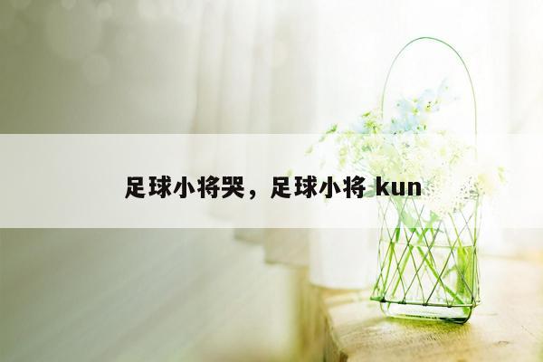 足球小将哭，足球小将 kun