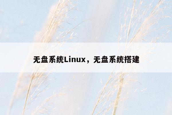 无盘系统Linux，无盘系统搭建