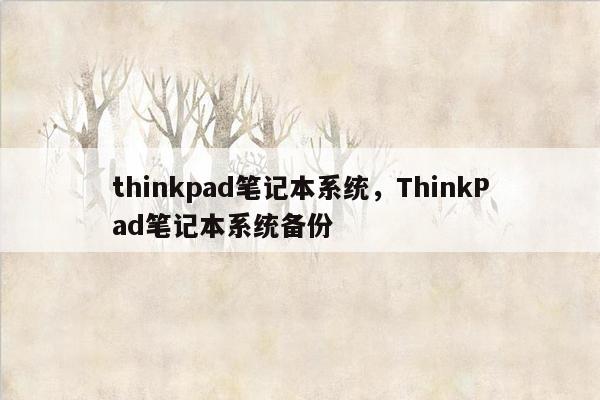 thinkpad笔记本系统，ThinkPad笔记本系统备份