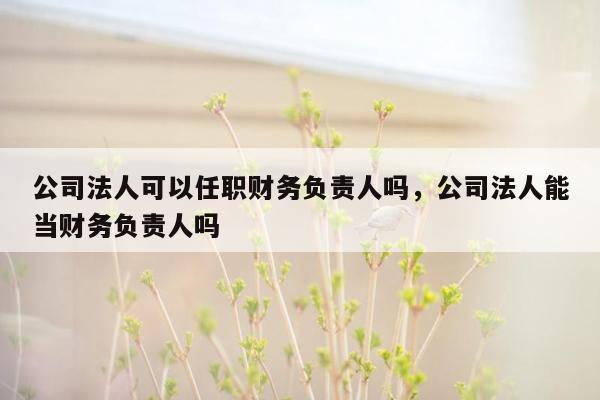 公司法人可以任职财务负责人吗，公司法人能当财务负责人吗