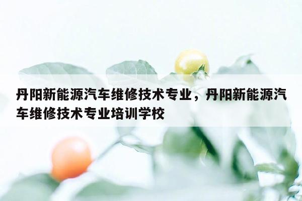 丹阳新能源汽车维修技术专业，丹阳新能源汽车维修技术专业培训学校