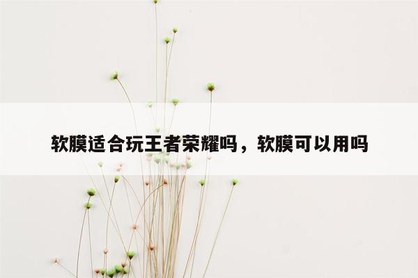 软膜适合玩王者荣耀吗，软膜可以用吗