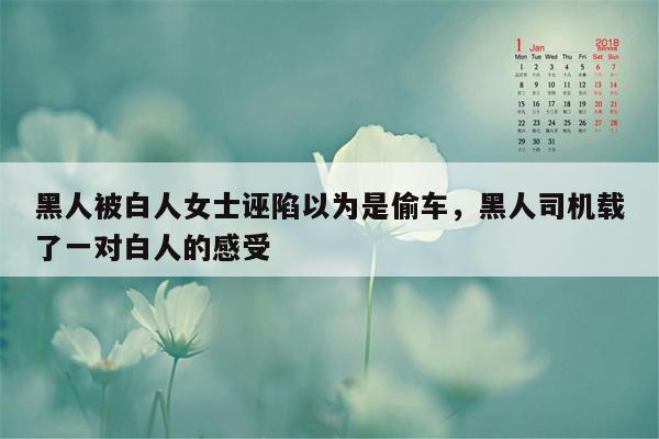 黑人被白人女士诬陷以为是偷车，黑人司机载了一对白人的感受