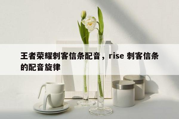 王者荣耀刺客信条配音，rise 刺客信条的配音旋律