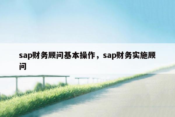 sap财务顾问基本操作，sap财务实施顾问