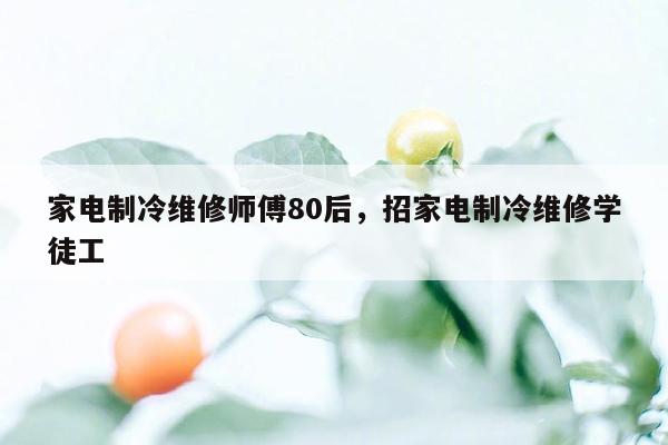 家电制冷维修师傅80后，招家电制冷维修学徒工