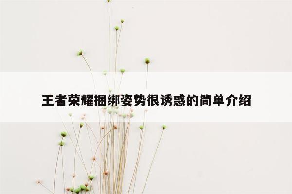 王者荣耀捆绑姿势很诱惑的简单介绍