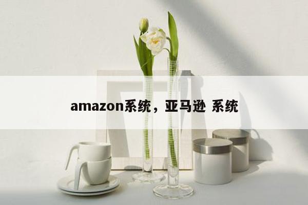 amazon系统，亚马逊 系统