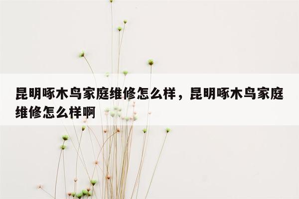 昆明啄木鸟家庭维修怎么样，昆明啄木鸟家庭维修怎么样啊