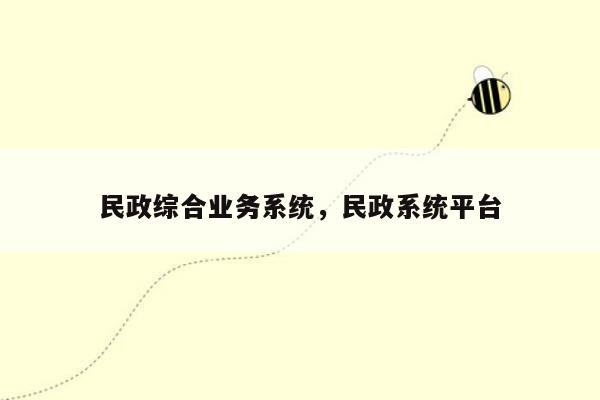 民政综合业务系统，民政系统平台