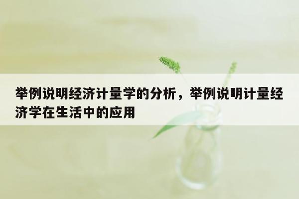 举例说明经济计量学的分析，举例说明计量经济学在生活中的应用