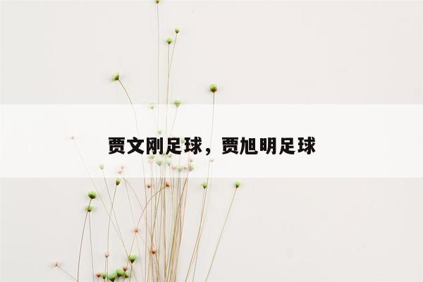 贾文刚足球，贾旭明足球