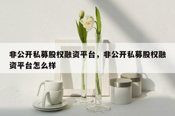 非公开私募股权融资平台，非公开私募股权融资平台怎么样