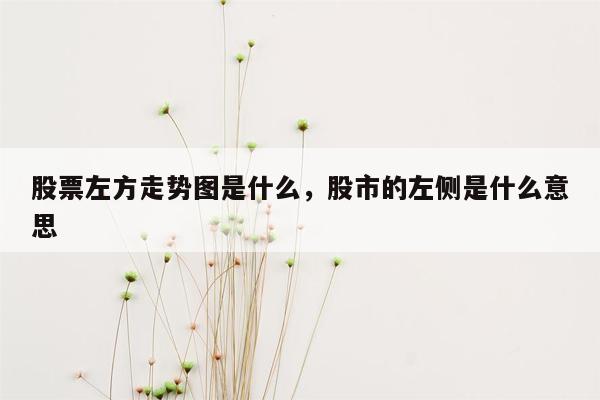 股票左方走势图是什么，股市的左侧是什么意思