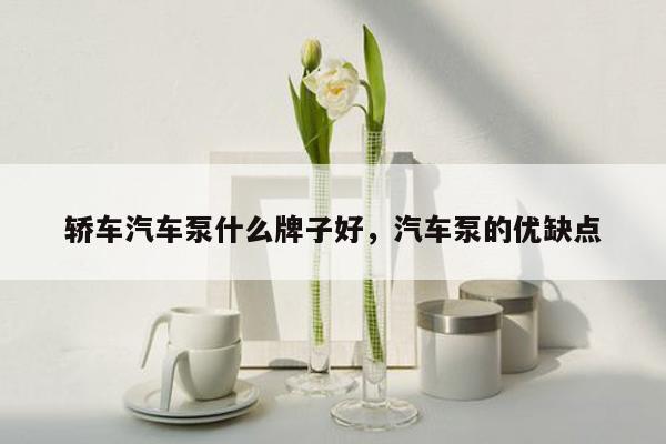 轿车汽车泵什么牌子好，汽车泵的优缺点