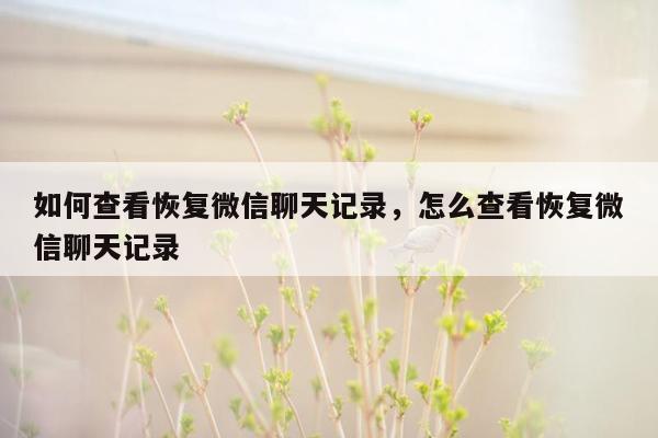 如何查看恢复微信聊天记录，怎么查看恢复微信聊天记录