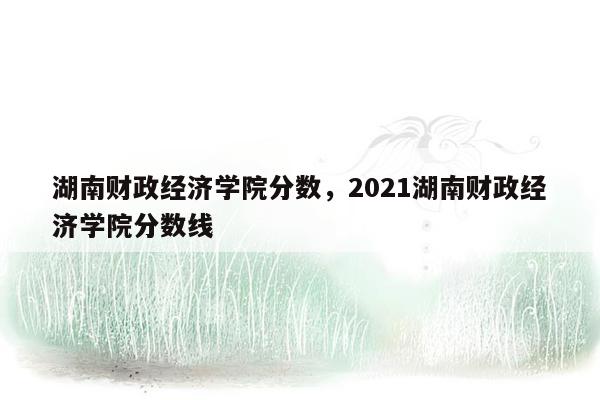 湖南财政经济学院分数，2021湖南财政经济学院分数线