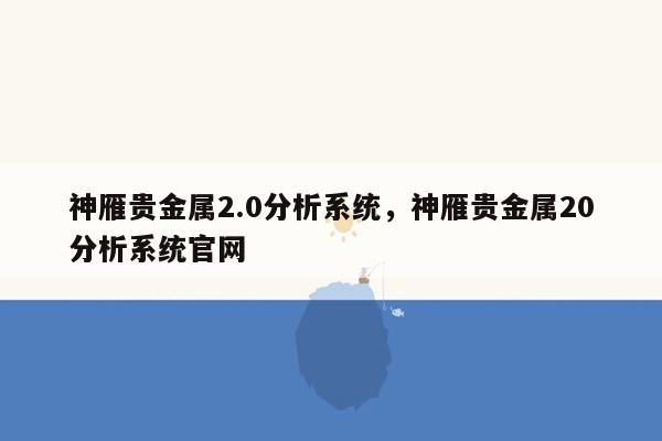 神雁贵金属2.0分析系统，神雁贵金属20分析系统官网