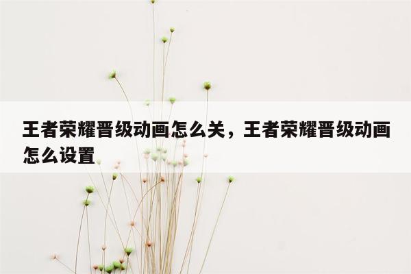 王者荣耀晋级动画怎么关，王者荣耀晋级动画怎么设置