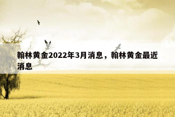 翰林黄金2022年3月消息，翰林黄金最近消息