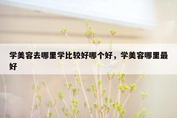 学美容去哪里学比较好哪个好，学美容哪里最好