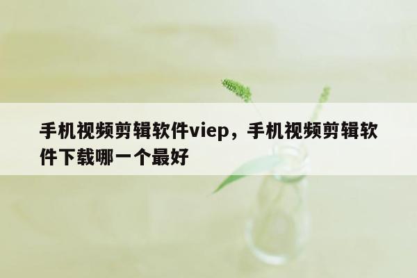 手机视频剪辑软件viep，手机视频剪辑软件下载哪一个最好