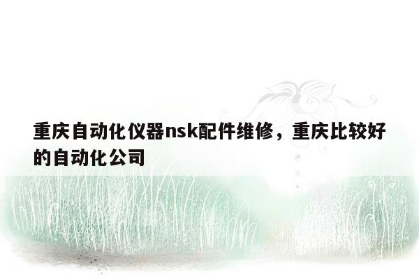 重庆自动化仪器nsk配件维修，重庆比较好的自动化公司