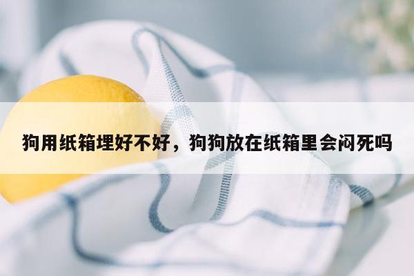 狗用纸箱埋好不好，狗狗放在纸箱里会闷死吗