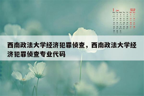 西南政法大学经济犯罪侦查，西南政法大学经济犯罪侦查专业代码