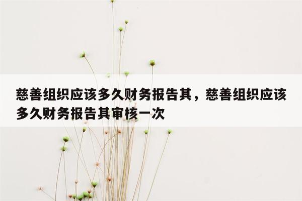 慈善组织应该多久财务报告其，慈善组织应该多久财务报告其审核一次