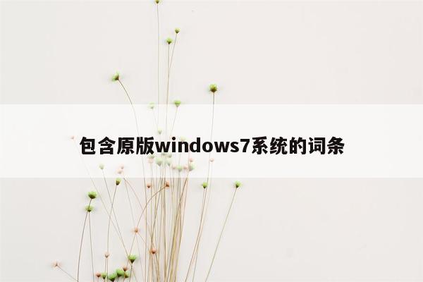 包含原版windows7系统的词条