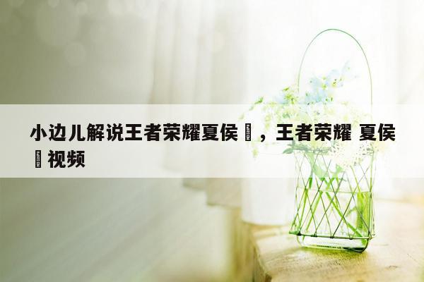 小边儿解说王者荣耀夏侯惇，王者荣耀 夏侯惇视频