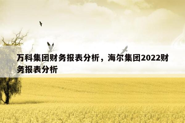 万科集团财务报表分析，海尔集团2022财务报表分析