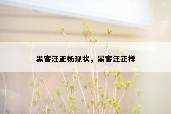 黑客汪正杨现状，黑客汪正样