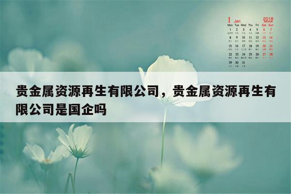 贵金属资源再生有限公司，贵金属资源再生有限公司是国企吗