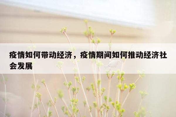 疫情如何带动经济，疫情期间如何推动经济社会发展