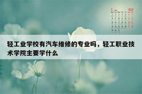 轻工业学校有汽车维修的专业吗，轻工职业技术学院主要学什么