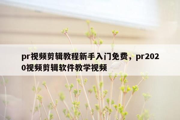 pr视频剪辑教程新手入门免费，pr2020视频剪辑软件教学视频