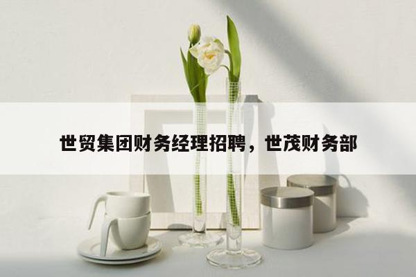 世贸集团财务经理招聘，世茂财务部