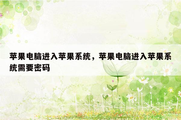 苹果电脑进入苹果系统，苹果电脑进入苹果系统需要密码