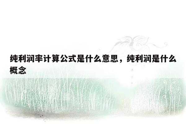 纯利润率计算公式是什么意思，纯利润是什么概念