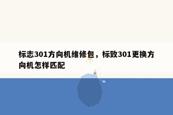 标志301方向机维修包，标致301更换方向机怎样匹配