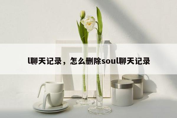 l聊天记录，怎么删除soul聊天记录